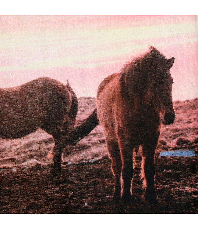 Enfant Terrible Shirt langarm Pferdedruck Biobaumwolle fuchsia