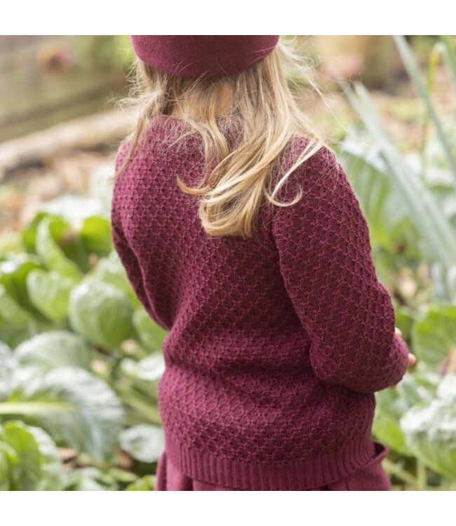 Disana disana Aran Pullover Merinowolle - Strickpullover - Cassis