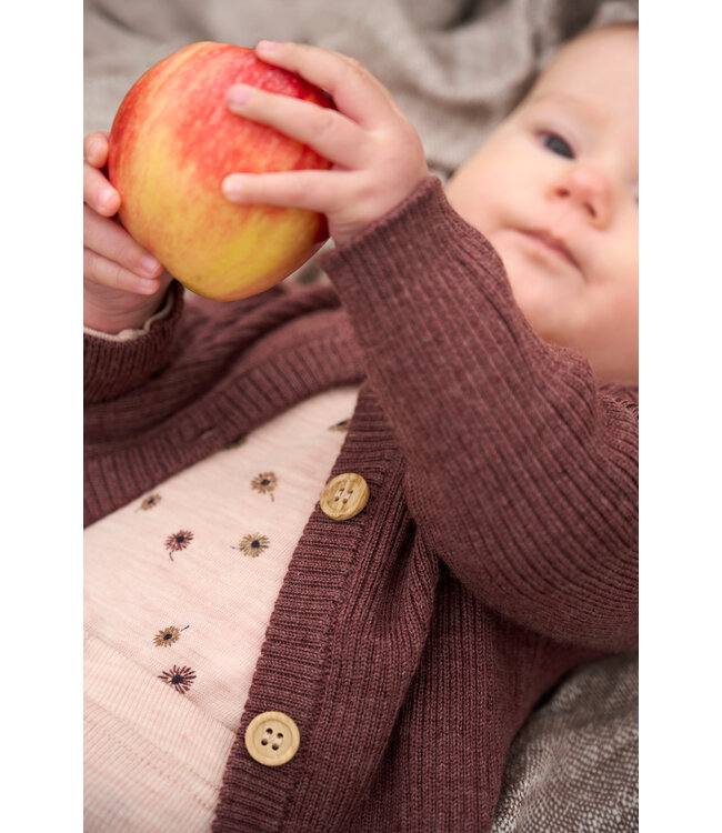 CeLaVi Body langarm Merinowolle Blumen rose dust