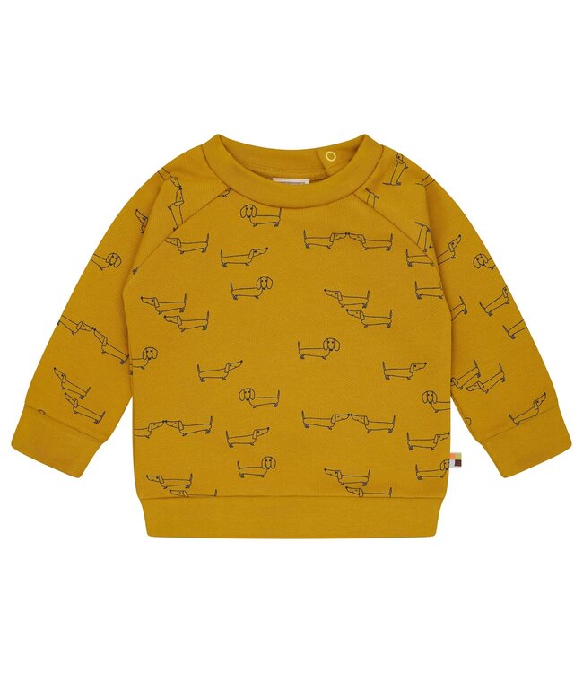 Loud and Proud Pullover Dackel - Biobaumwolle - curry