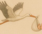 Babygeschenk von Bauchliebe.ch