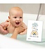 Papierdrachen  32 Meilensteinkarten – Regenbogen – Babys erstes Jahr