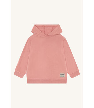 Hust and Claire Stinus Sweatshirt mit Kapuze Bambusviskose old rosie