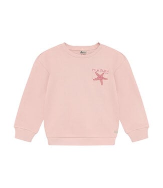 Daily7 Sweater Palm Beach mit Seestern - Biobaumwolle - Silver Pink