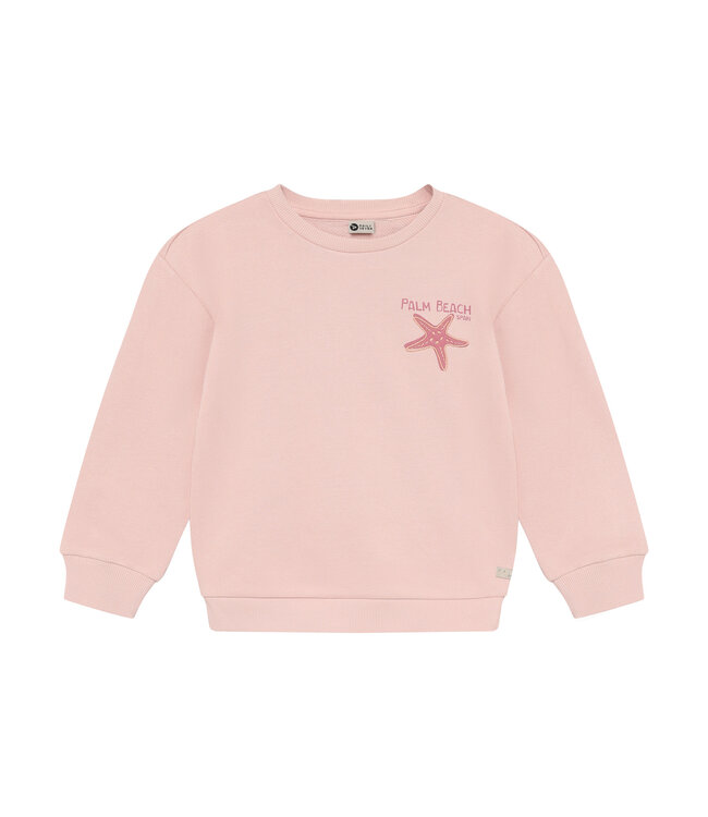 Daily7 Daily7 Sweater Backprint Silver Pink