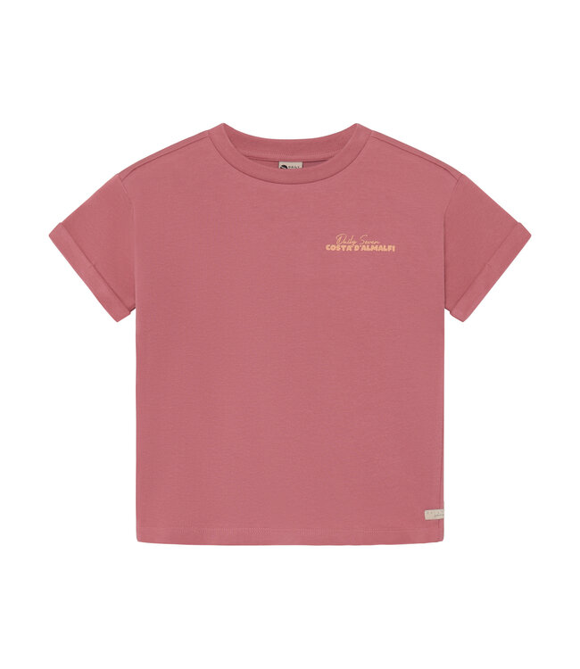 Daily7 Daily7 T-shirt Backprint Heather Rose