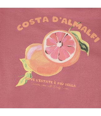 Daily7 T-shirt Backprint Heather Rose