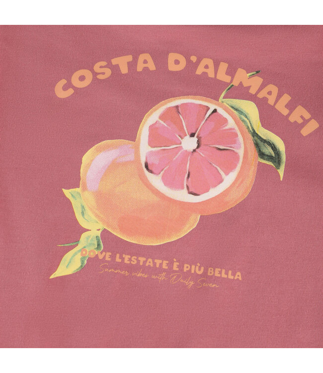 Daily7 T-shirt Backprint Costa D'Amalfi Orangen - Biobaumwolle - Heather Rose