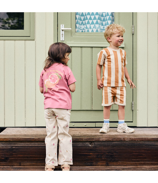 Daily7 T-shirt Backprint Costa D'Amalfi Orangen - Biobaumwolle - Heather Rose