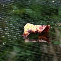 thumb-Vogelnet 18 x 12 meter maaswijdte 22x22mm-3