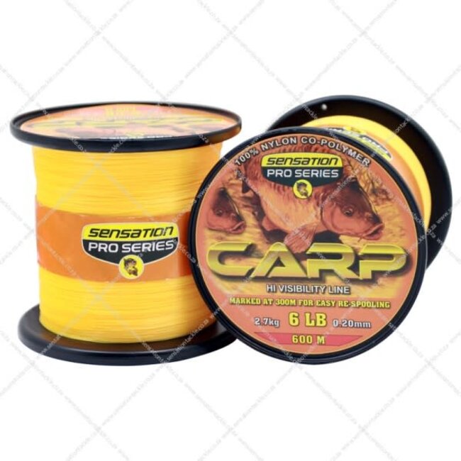 Carp Expert Multicolour 300 m 0.30 mm/12.50 kg Fishing Line Carp Line  Monofilament Line Mono Line : : Sports & Outdoors