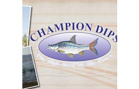 Champion dips