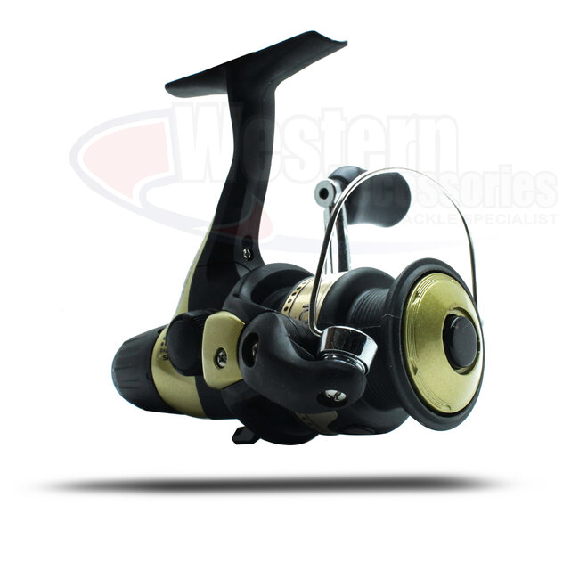 Shimano Hyperloop Spinning Reel | 6000 FB