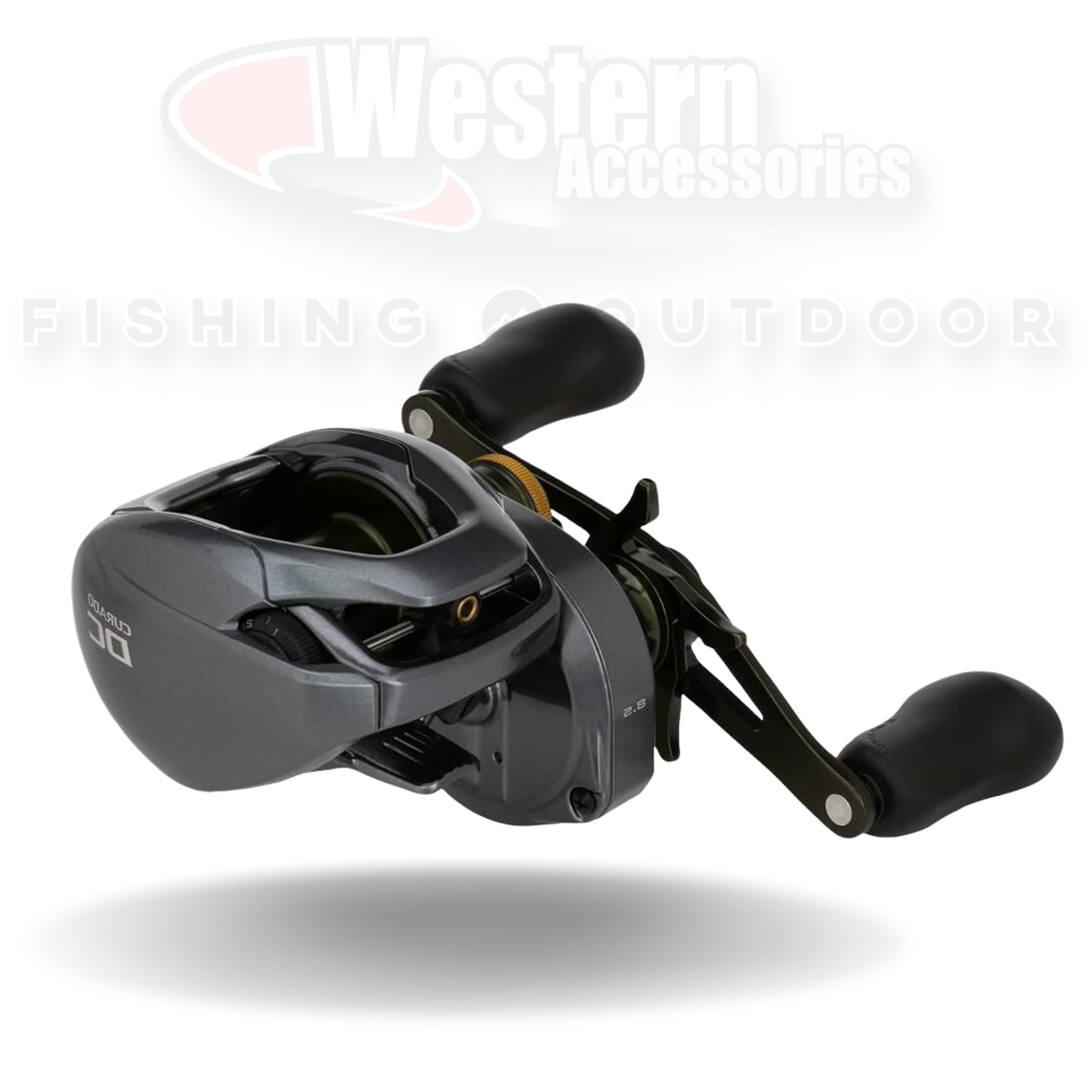 Baitcaster Reel Daiwa PR100H