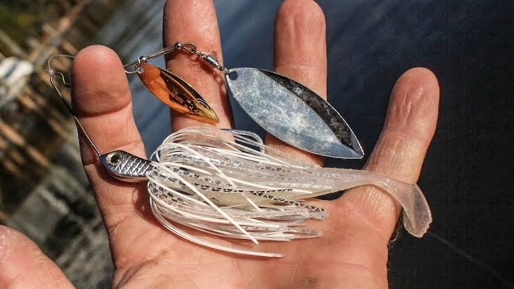 Articles and Blogs - The Correct way to rig and fish a spinner bait -  Western Accessories Fishing & Outdoor