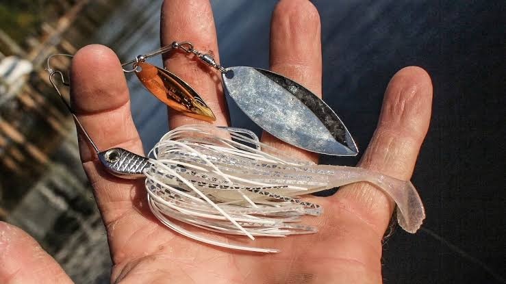 The Correct way to rig and fish a spinner bait