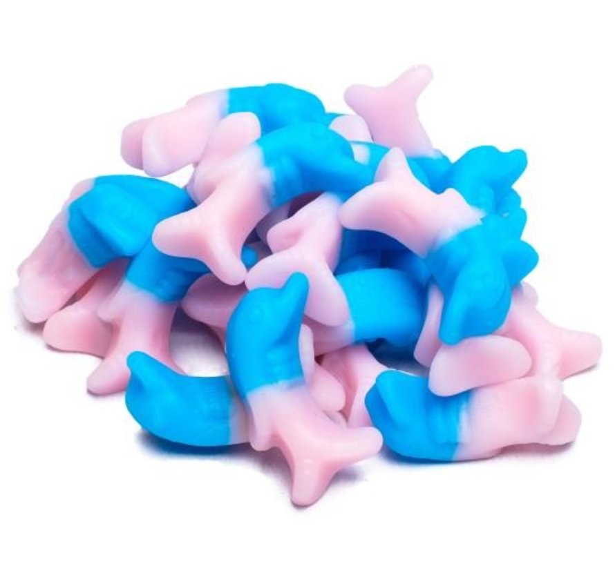 Matthijs Dolphins bubblegum