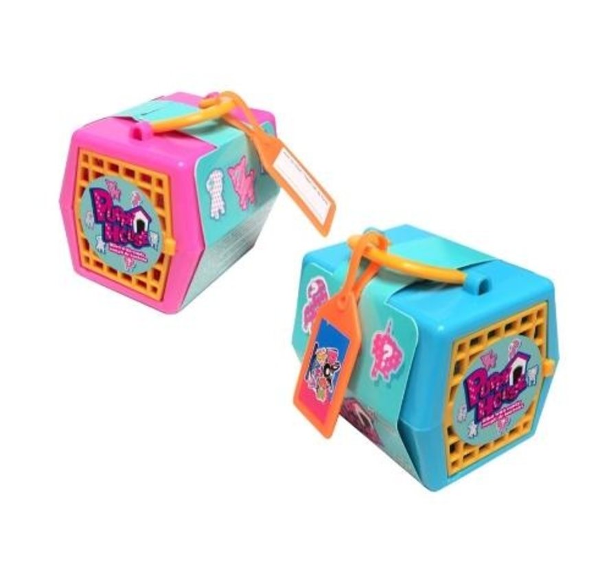 Puppy Dog House Candy -Doos 12 stuks