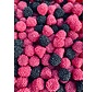 3 kilo BULK Haribo Frambozen Bramen Berries