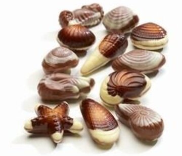 Hamlet Zeevruchten Chocolade -Bulk 3,5 kilo