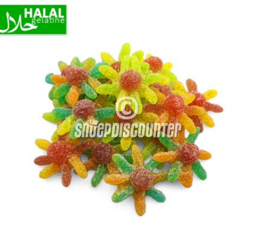 Sour Octopus -1 kilo Halal Approved