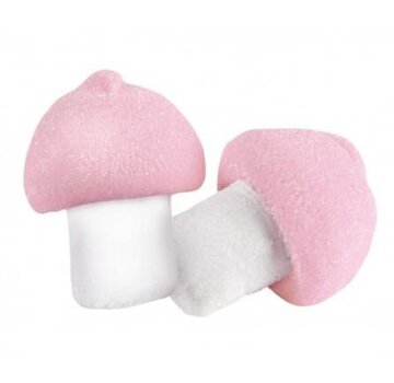 Bulgari Spek Mushrooms -zak 900 gram