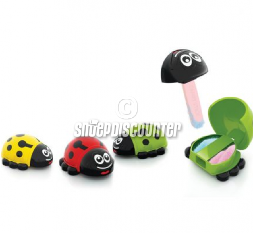 Sweet Ladybird -Doos 12 stuks