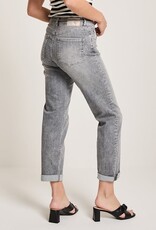 Para MI Bobby Daily Denims Light Grey Denim