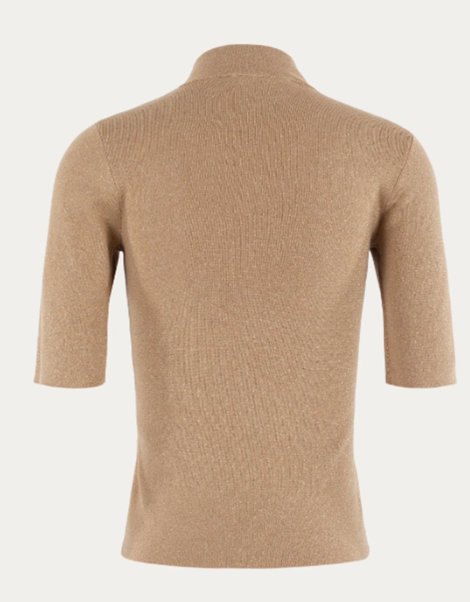 Emotions Pullover Turtle Mock Neck Lurex Caramel