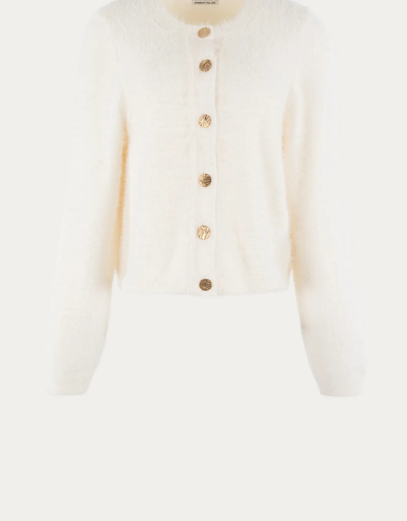 Anna Blue Vest Tweedy Cashmere Gouden knopen Off White