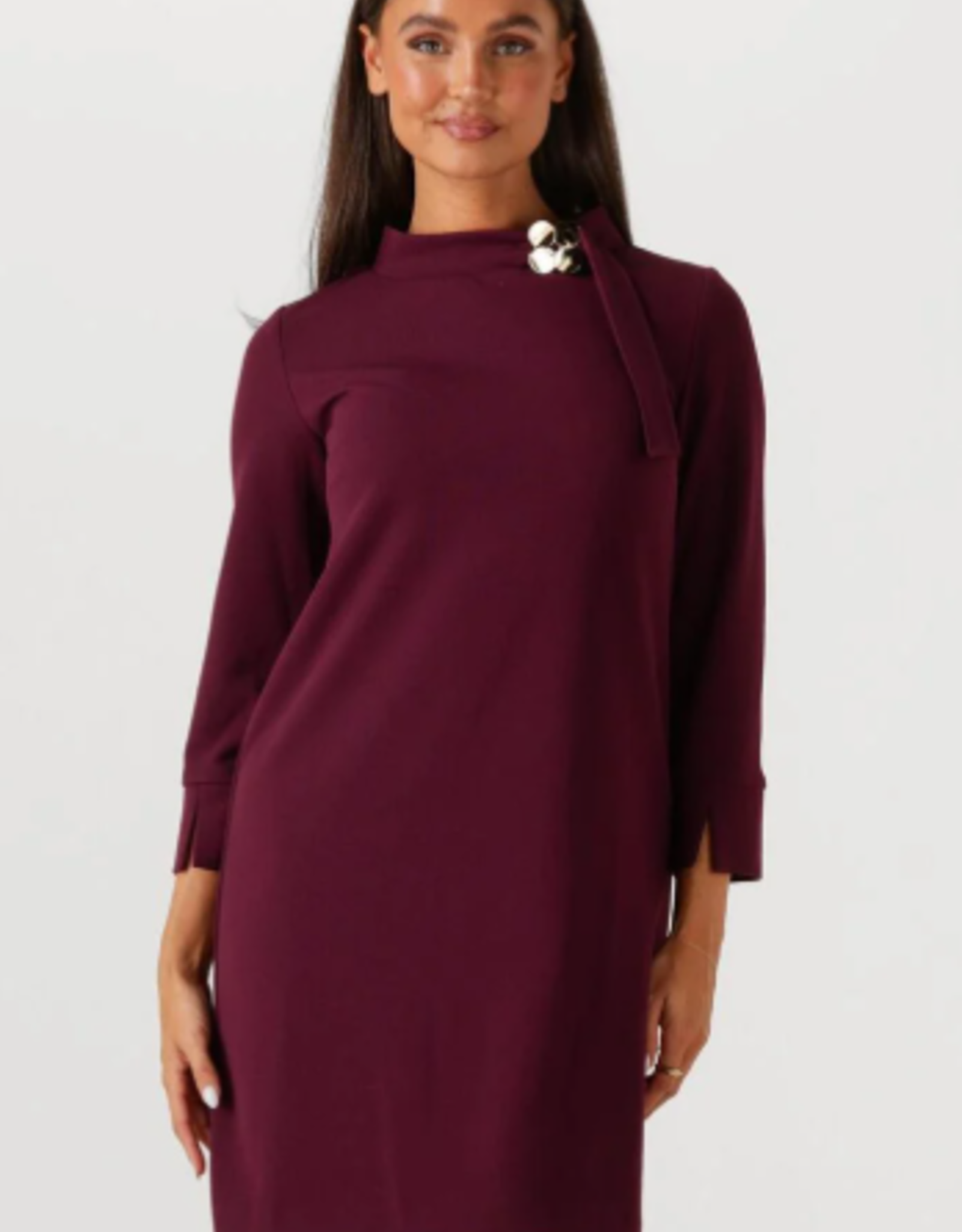 Ana Alcazar Jurk Opstaande Boord Broche 3/4 Mouw Bordeauxrood