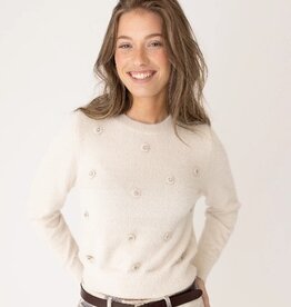 Anna Blue Pullover Riccy RH Bloemetje Zilver Kit Solid