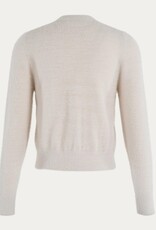 Anna Blue Pullover Riccy RH Bloemetje Zilver Kit Solid