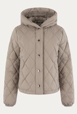 Moscow Jack Yasmin Gewatteerd Wet Sand Solid