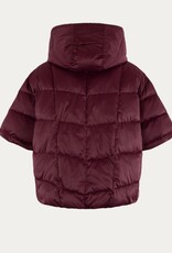 Anna Blue Body Warmer Rohan Bordeaux