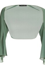 Swing Stola Met Mouw Pistacho Green
