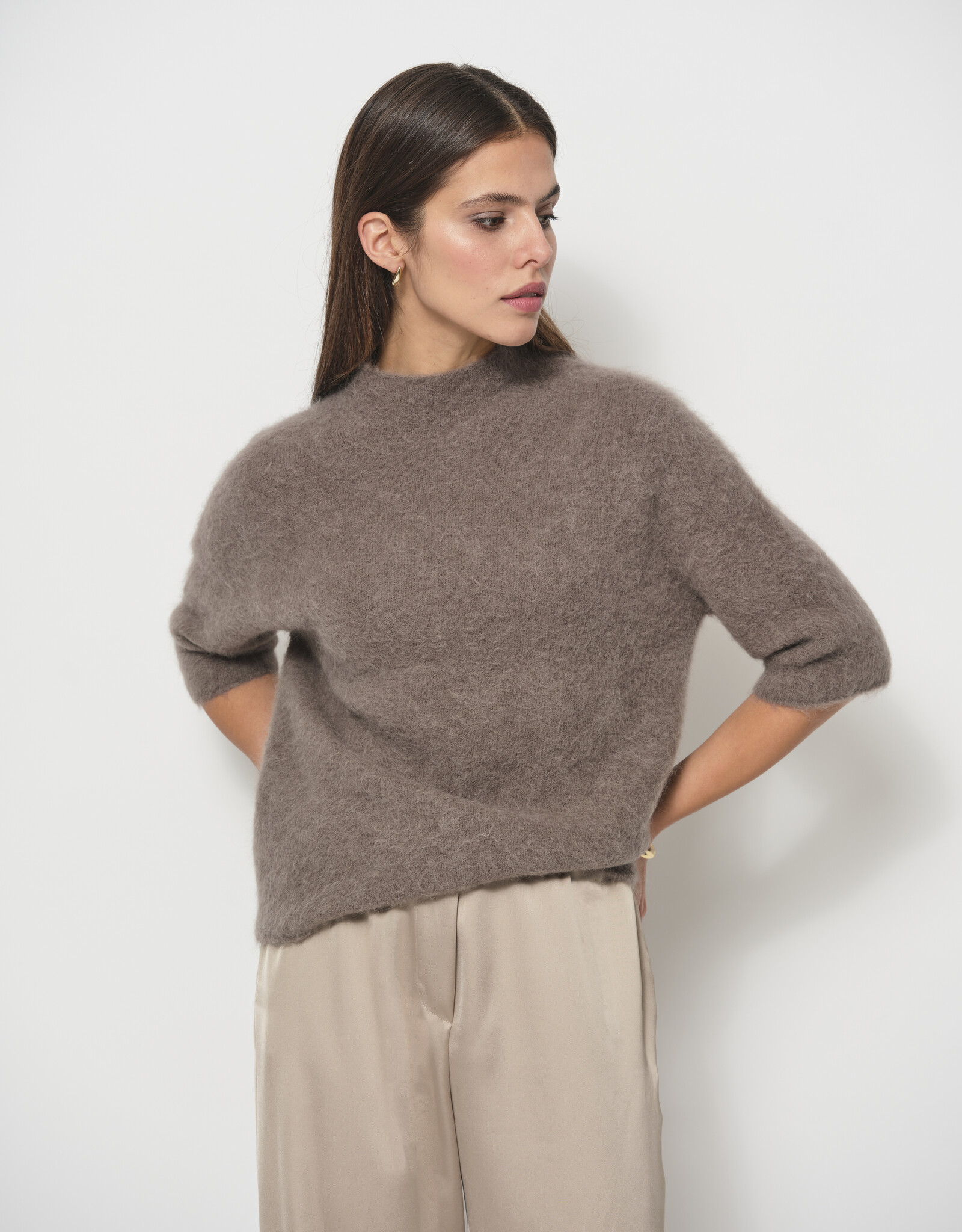 LaSalle Raised Neck Cropped Sleeve Pullover Cashew
