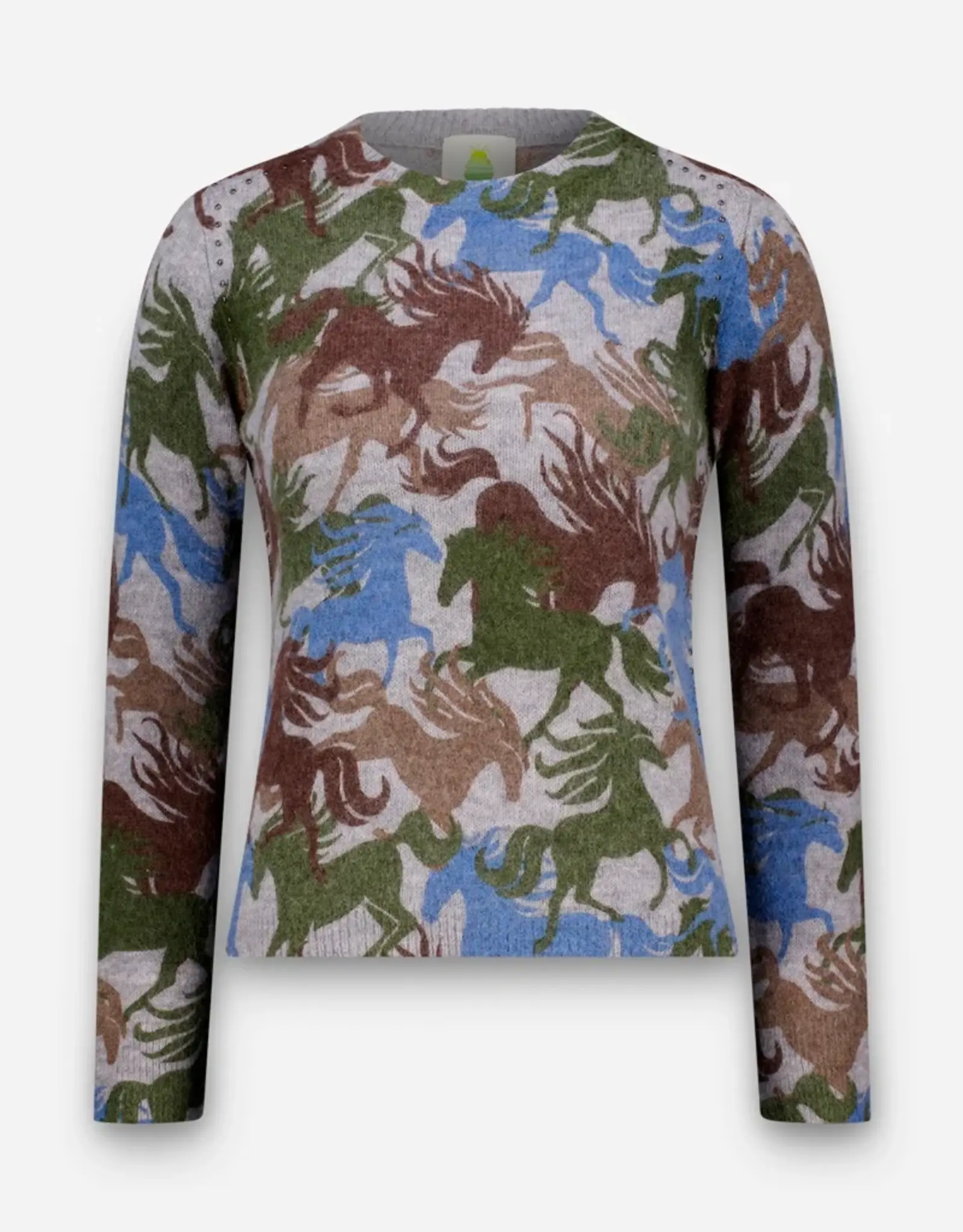 Princess goes Hollywood Pullover Colorful Horses