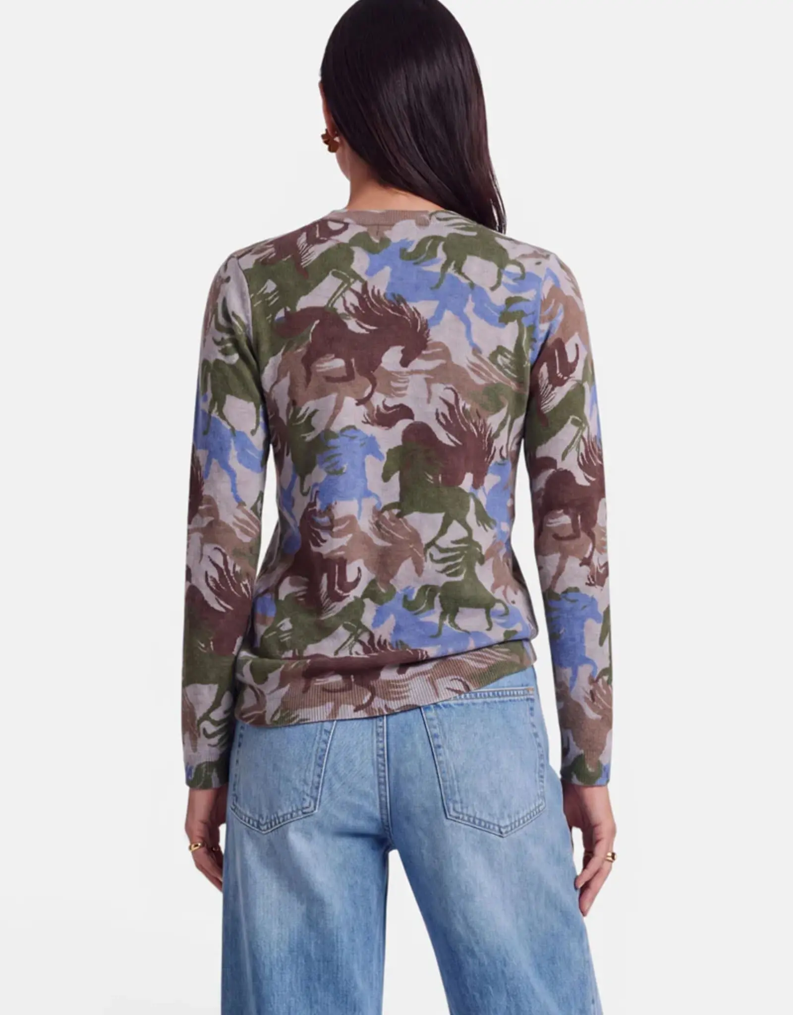Princess goes Hollywood Pullover Colorful Horses