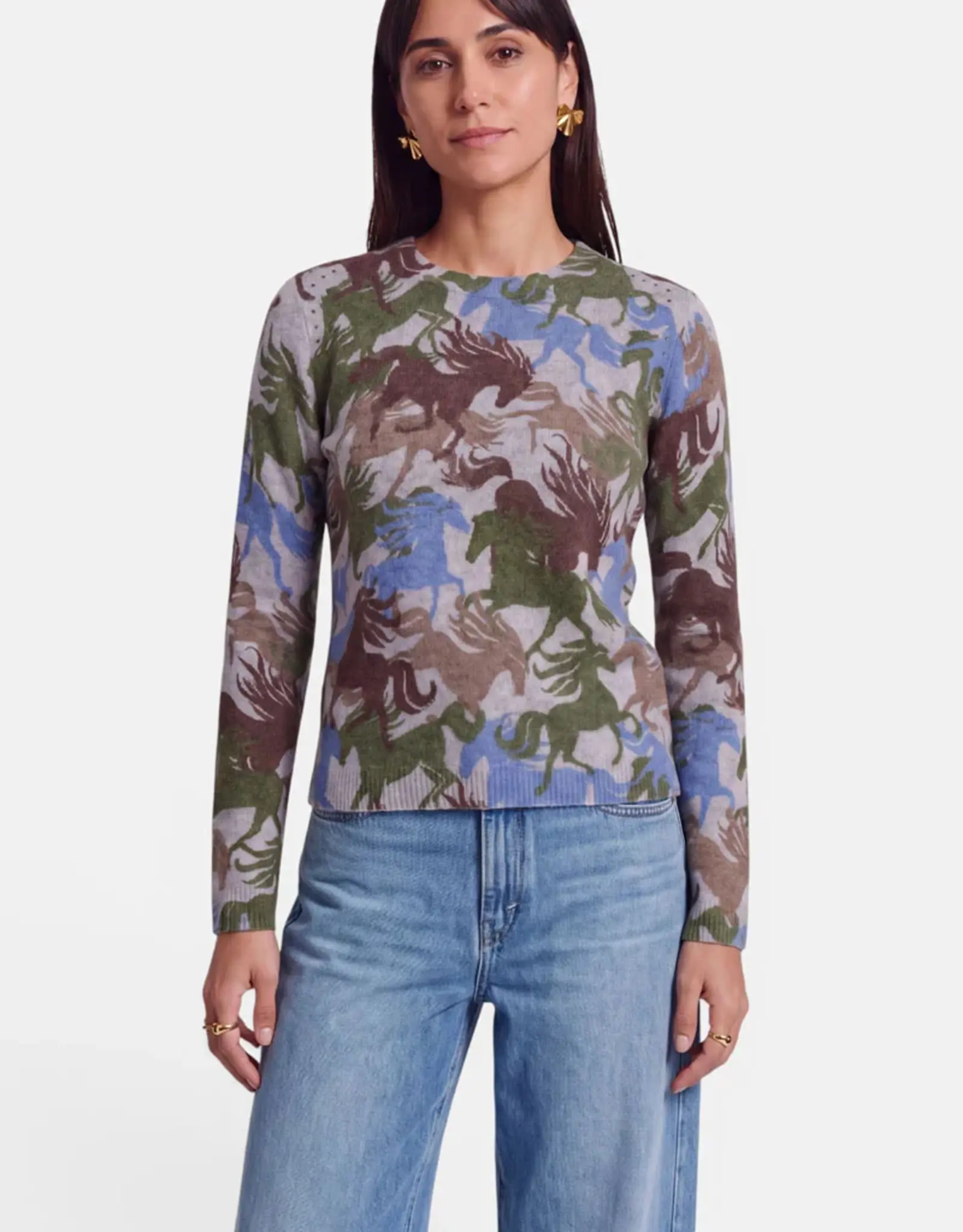 Princess goes Hollywood Pullover Colorful Horses