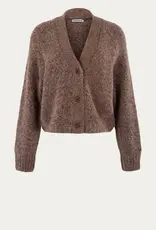 Anna Blue Vest Rumi V-Hals Bruin Gemeleerd