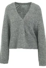 Anna Blue Vest Labo V-Hals Grijs