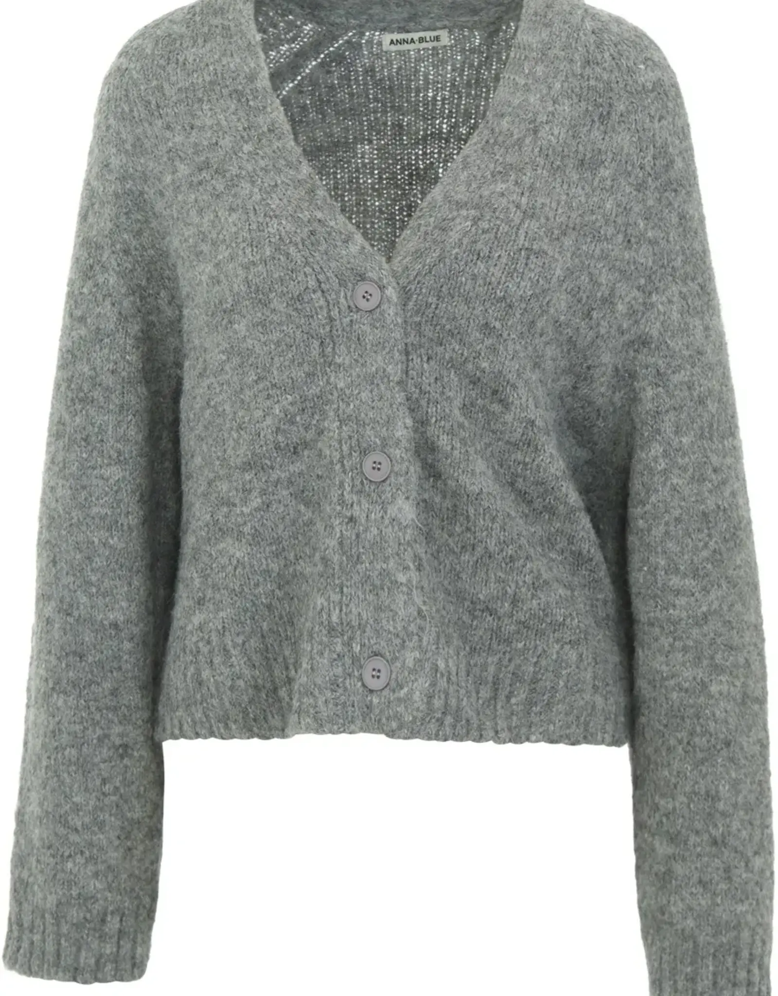 Anna Blue Vest Labo V-Hals Grijs