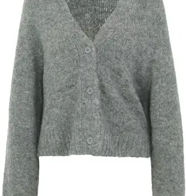 Anna Blue Vest Labo V-Hals Grijs