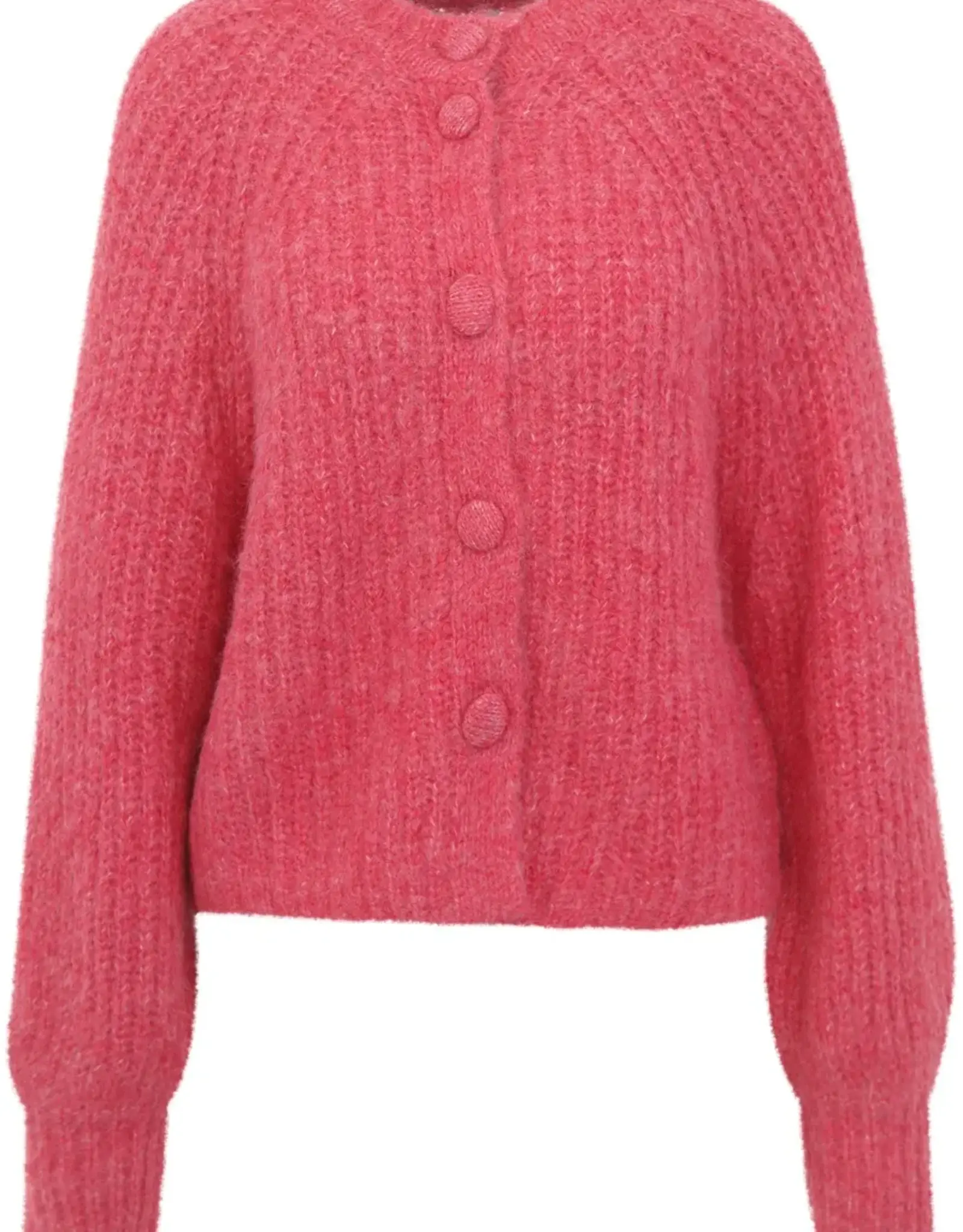 Anna Blue Vest Brook Ballon Mouw Pink