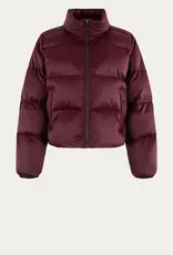 Anna Blue Jack Eliv Gewatteerd Bordeaux