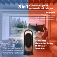 Lauben Smart 2in1 Ventilator & kachel