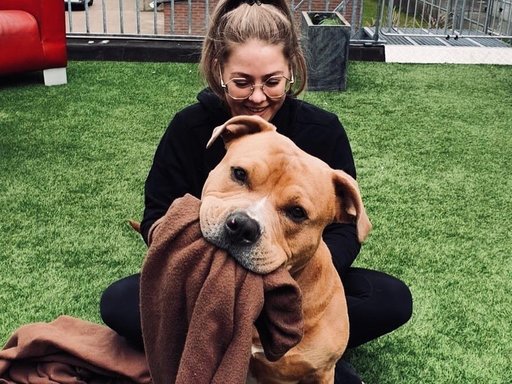 Manon van Erven over Leader Supreme Large