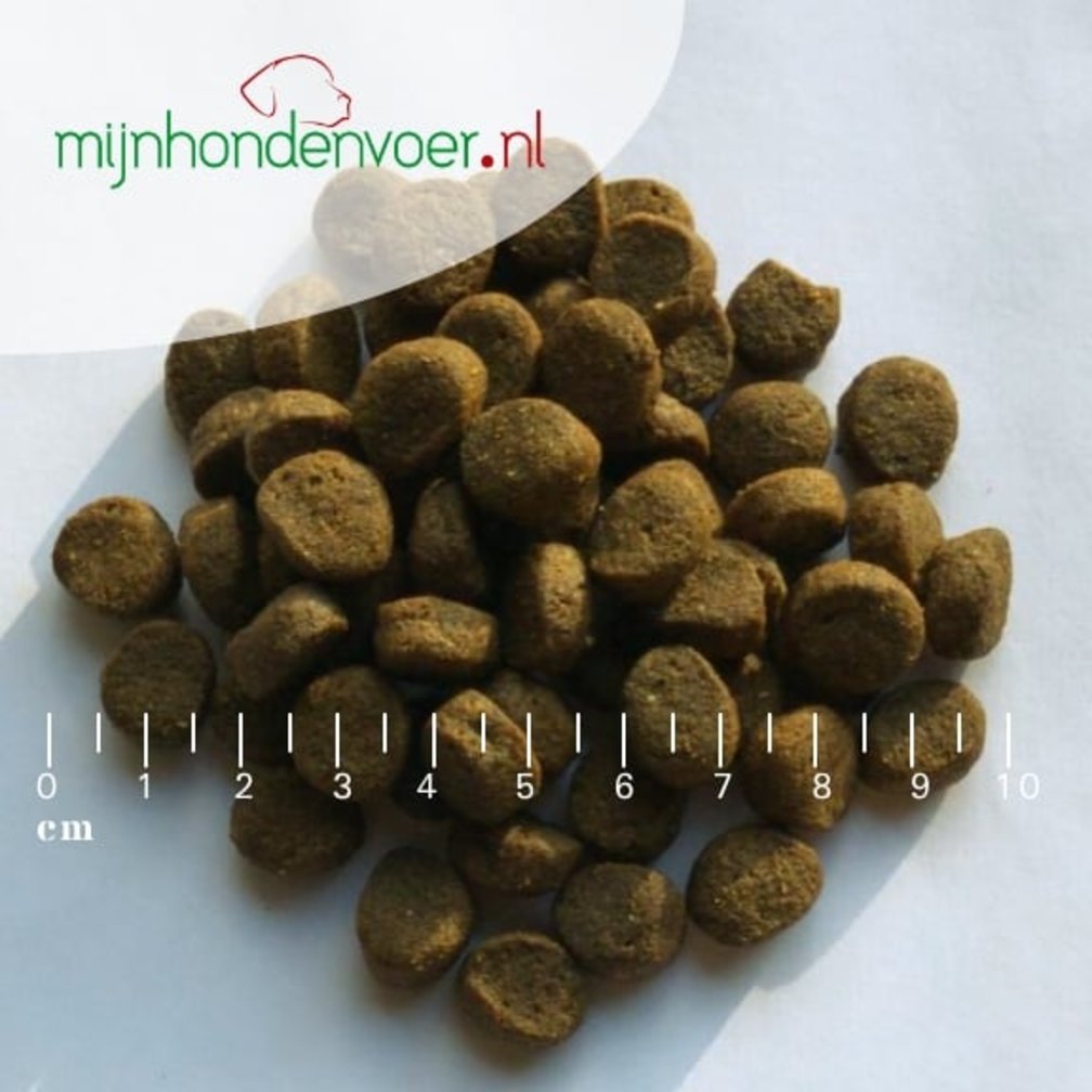 HARING MET WORTEL EN BOERENKOOL