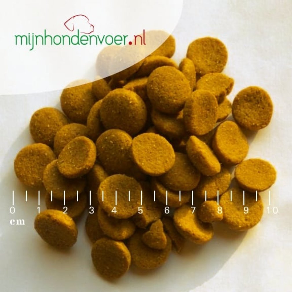 ADULT SUPREME LARGE BREED